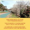 옛철길공원 이미지