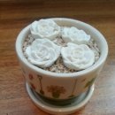 네추럴카페추추앤제제 | [추추야] 석고방향제의 변신은 무궁무진♥ 모양도 향도 굿굿!!!★★