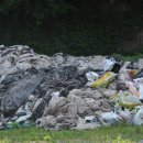 진해구 ⓒ-31 이미지