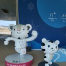 올림피아드평창호텔 | 제33기 KSOC 올림픽 아카데미 둘째 날 (1/2)