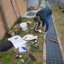 연동초교 이미지