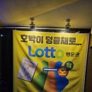 호박나이트 이미지