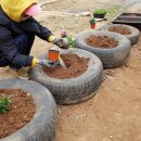 머슴타이어 이미지