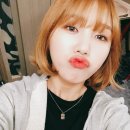 오늘의미미