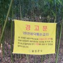 다사가 이미지