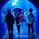 고기이야기 이미지