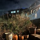 송가네 바다별장 이미지