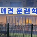 메이저 애견훈련학교 이미지