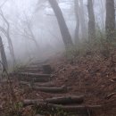 아름따다 이미지