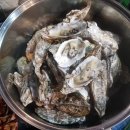 펜션 베네치아 이미지