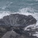 양남주상절리 이미지