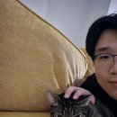 유미찌 이미지
