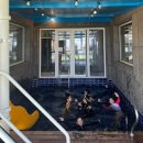 로그인회산점 | 대부도 16명 단체 펜션 로그인펜션 내돈내산 솔직후기