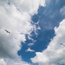 동해약국 이미지