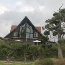 달그리고강 이미지