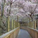 안민고개길 이미지