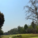 메조스테이 이미지