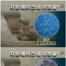 두진크리닝 이미지