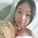 가장맛있는족발거제