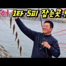 인천항 국제여객터미널 옆 아암3교 망둥어 낚시 장타 포인트 이미지