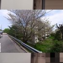 소병수이비인후과의원 네이버블로그