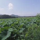바람의 소리, 플루트 이미지