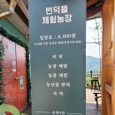 번덕뜰 민박 이미지