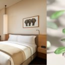 다이브스테이 이미지