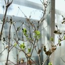 벨칸토 오페라 베스트 컬렉션 | 260309