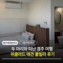 위클라드애견풀빌라 | 두 마리와 떠난 경주 여행 위클라드 애견 풀빌라 후기