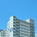 17.중부팬더 이미지