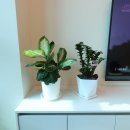 감성골프아카데미 이미지