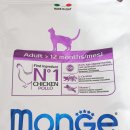 달리치킨 | 몬지 어덜트 치킨, 이탈리아 고양이 사료 실제 급여 후기