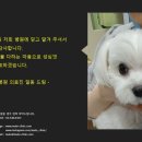 압구정메이트동물병원 이미지