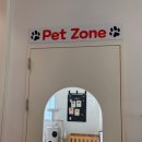 타타스베이글만수르점 | 평택 애견동반 카페 🐶｜강아지 운동장 & PET Zone 있는 베이글 전문 타타스베이글 평택용이점