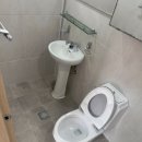 수원-1446 이미지