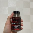 머슬코리아 ECA SHRED 체지방 연소 컷팅제 추천!