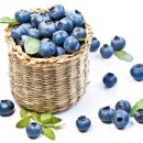 슈퍼짐 헬스휘트니스 이미지