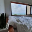 판포보름 이미지