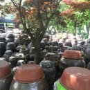 휴거리농장 이미지