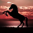 현준 공인중개사사무소 이미지