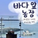 한주농장 | 서울 근교 바다뷰 카페 "바다 앞 농장"_영종도자연도소금빵 근처 카페