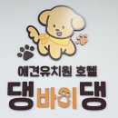 댕바이댕 네이버블로그