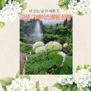 좋은날 | 비 오는 날 특별했던 고성 그레이스 정원 힐링 산책 다녀왔어요