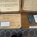 펜고호다