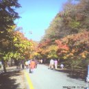 은진카센타 이미지