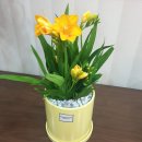 남서한의원 이미지