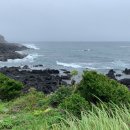 스테이 이공 이미지