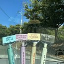 목대부리또 이미지