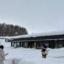 도산래프팅 옆 공중화장실 | 차-1 12월 비에이 후라노 버스투어 시간대별 장소 상세후기, 비에이 미슐랭 맛집 준페이 에비텐동 솔직...
